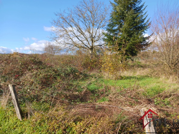 Maison à rénover de 52 m² à Cemboing sur 1343 m² 