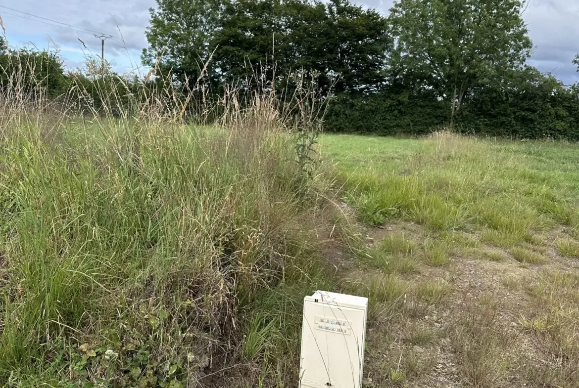 Vente terrain à bâtir de 865 m2 à Le Tourneur - 33 000 € 