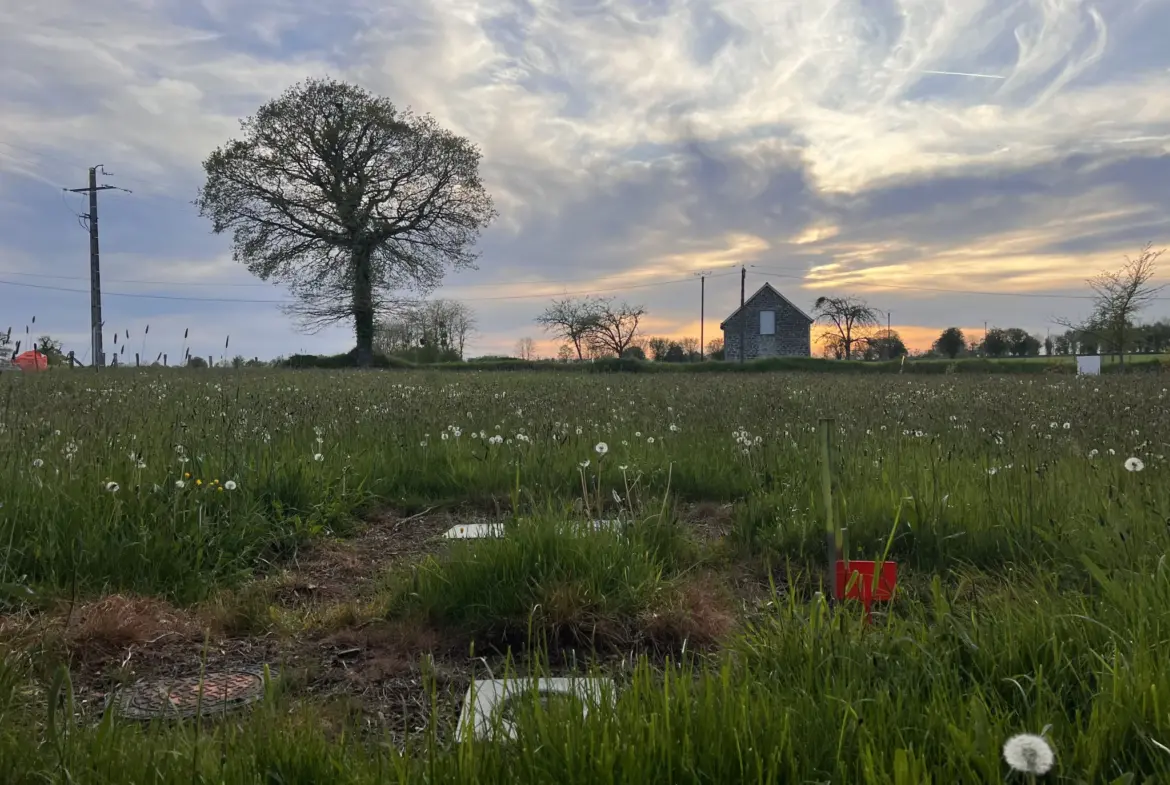 Vente terrain à bâtir de 865 m2 à Le Tourneur - 33 000 € 
