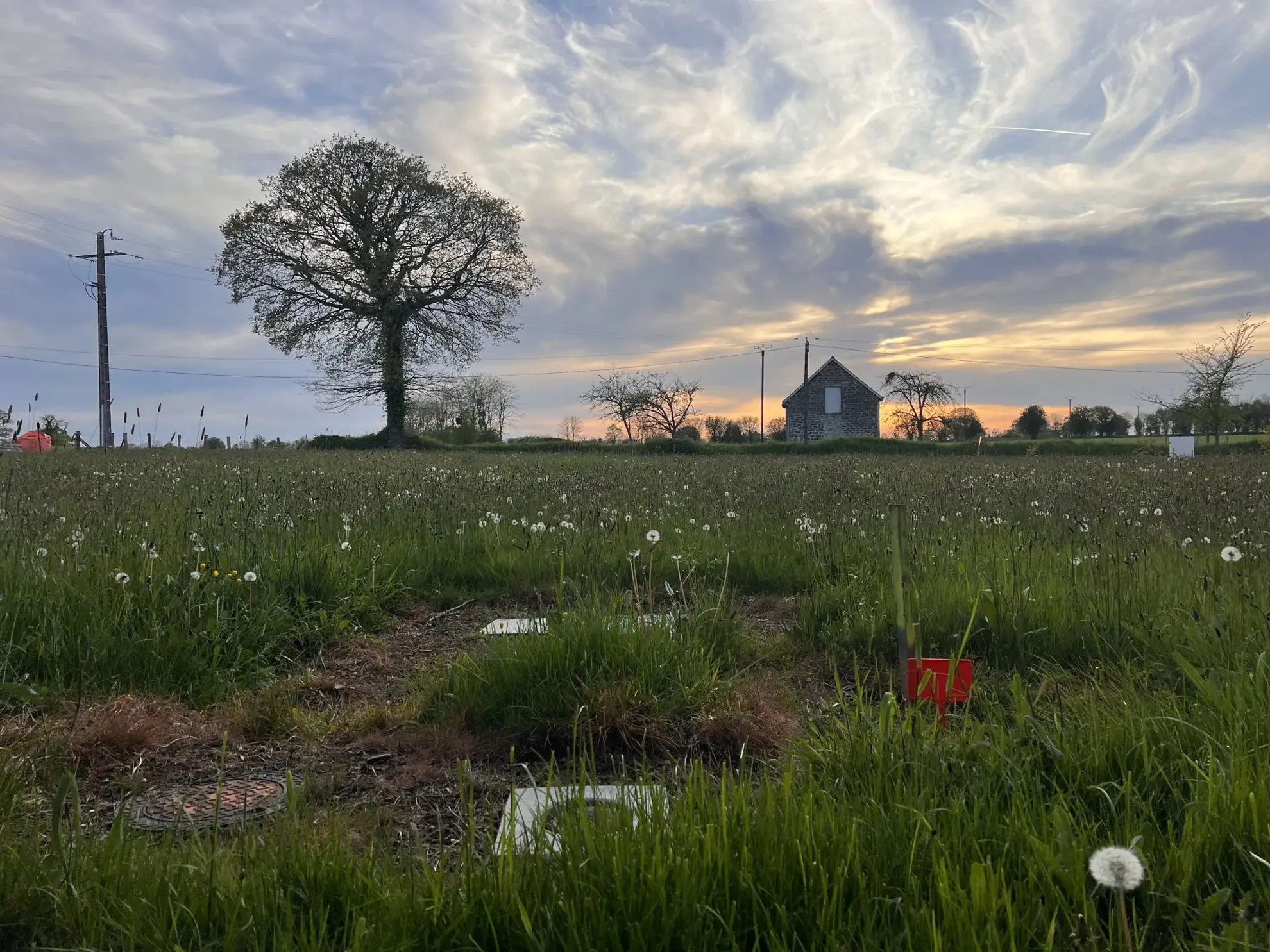 Vente terrain à bâtir de 865 m2 à Le Tourneur - 33 000 € 