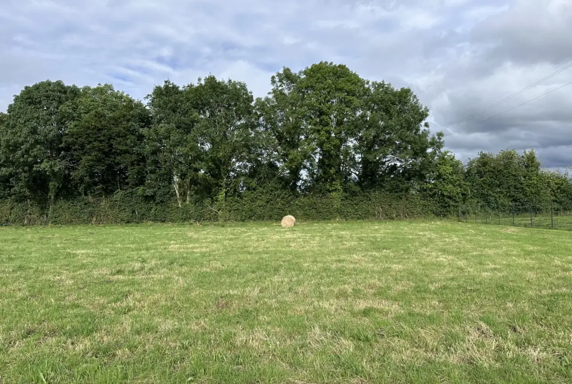Vente terrain à bâtir de 865 m2 à Le Tourneur - 33 000 € 
