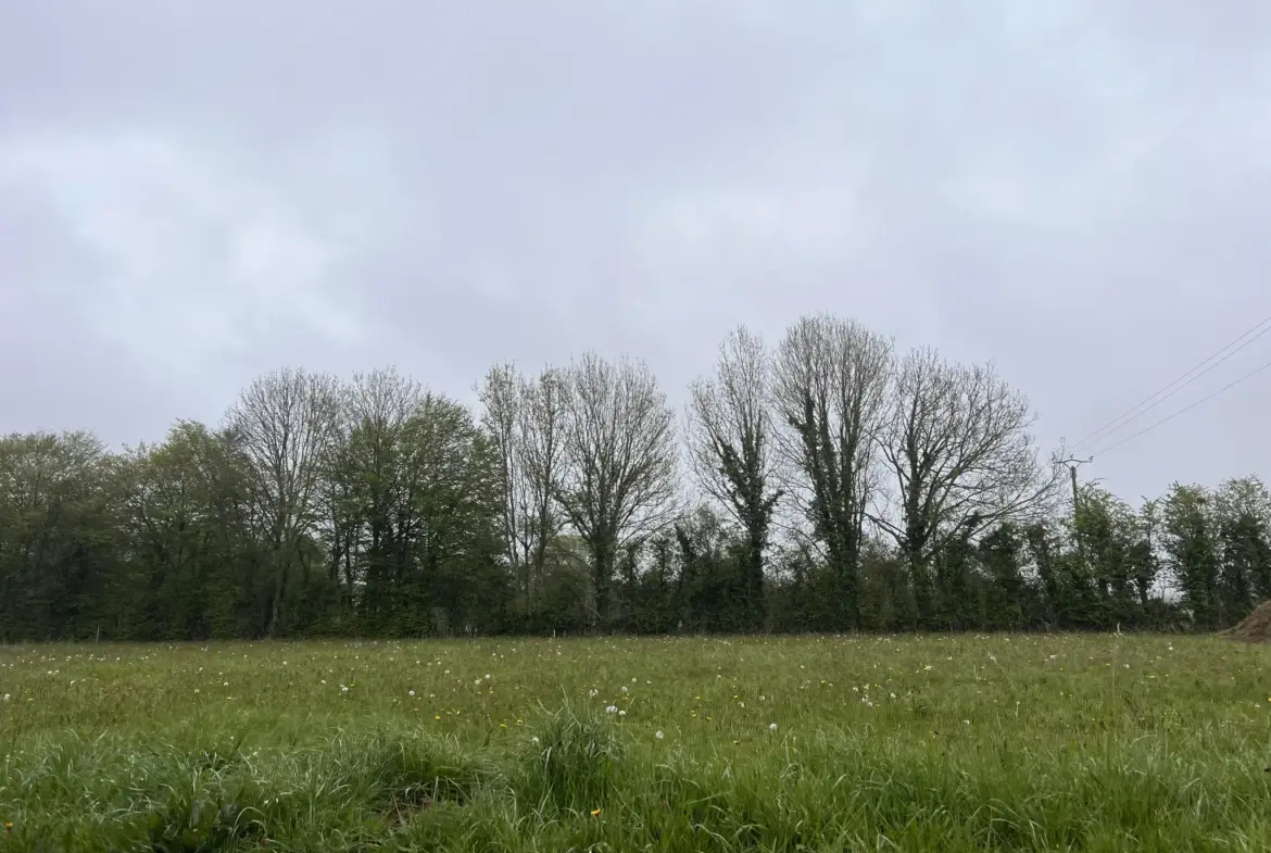 Vente terrain à bâtir de 865 m2 à Le Tourneur - 33 000 € 