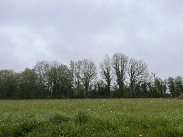 Vente terrain à bâtir de 865 m2 à Le Tourneur - 33 000 € 
