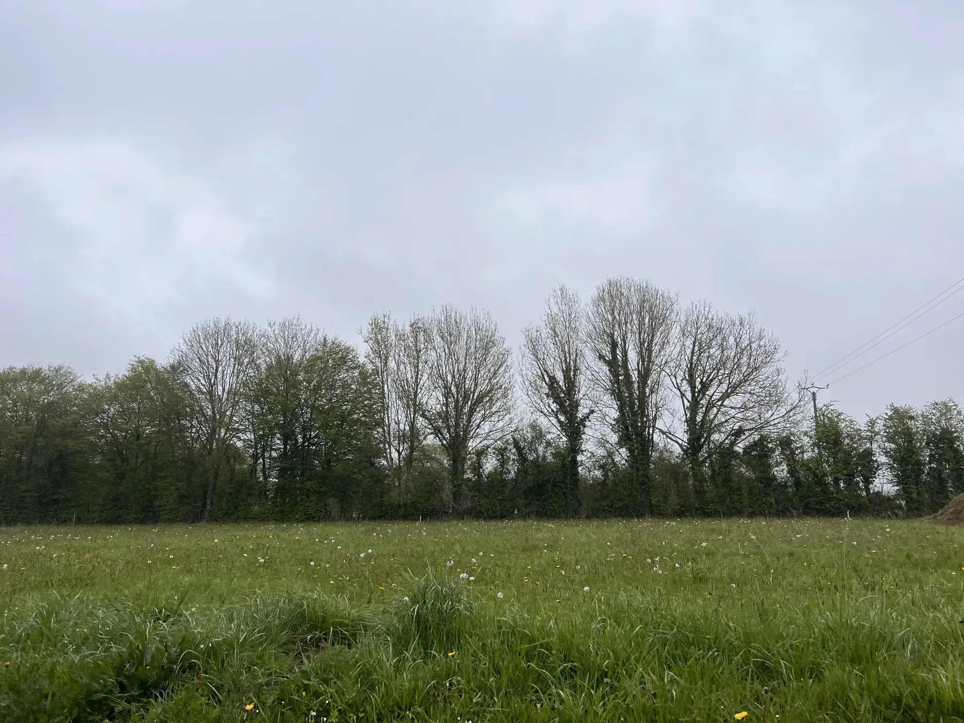 Vente terrain à bâtir de 865 m2 à Le Tourneur - 33 000 € 