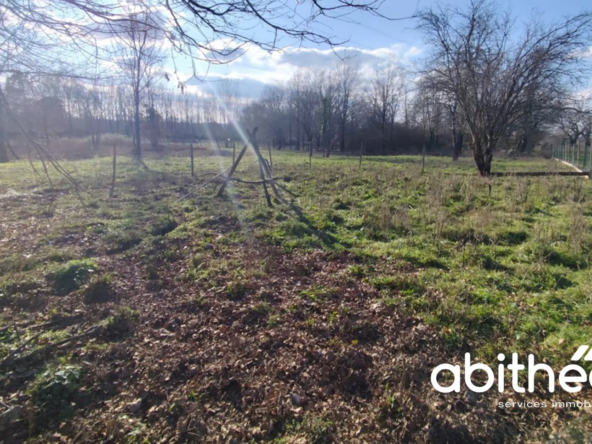 Terrain à bâtir libre de constructeur, 5055 m² à Saint-Ciers-d’Abzac 