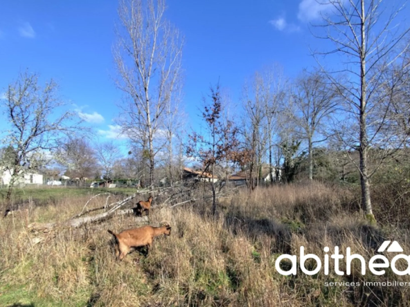 Terrain à bâtir libre de constructeur, 5055 m² à Saint-Ciers-d’Abzac 
