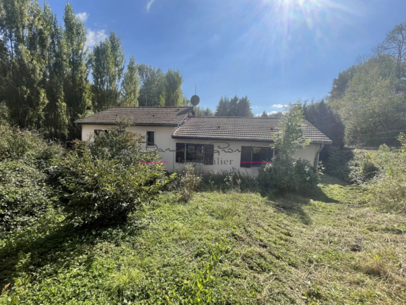 Villa individuelle de 95 m² à vendre à Cours la Ville 