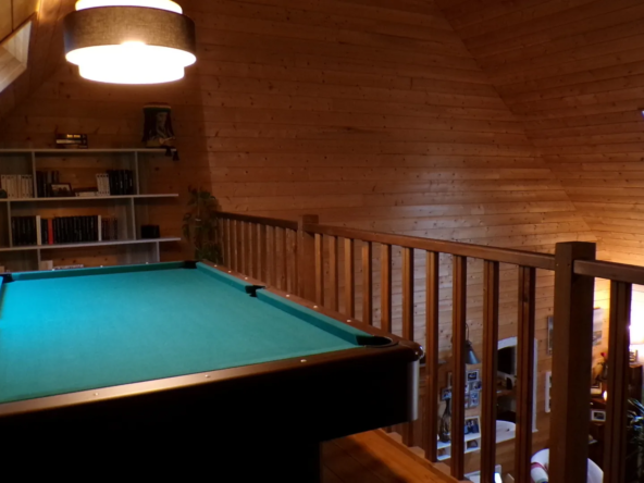Charmant chalet en bois à Nérondes sur 1,23 hectare 