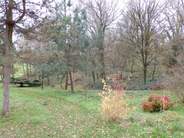 Charmant chalet en bois à Nérondes sur 1,23 hectare 