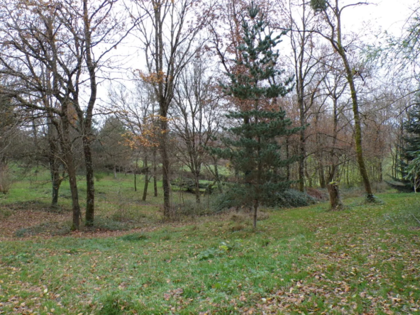 Charmant chalet en bois à Nérondes sur 1,23 hectare 