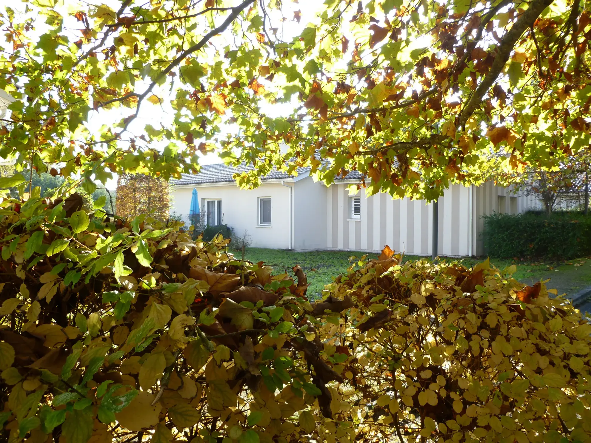 Maison T2 de plain-pied avec terrasse à Biganos 