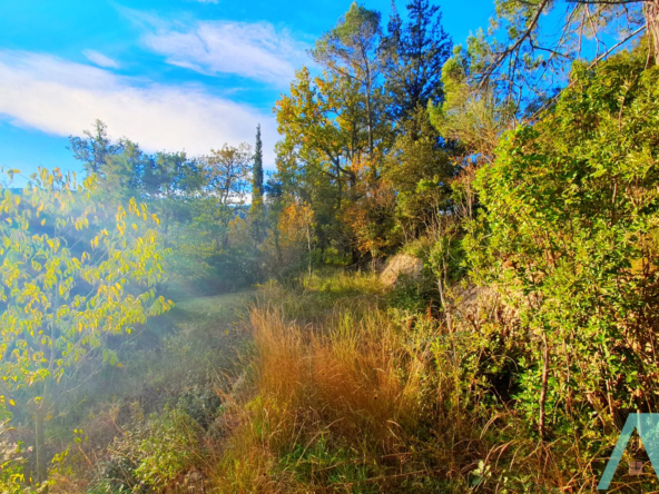 Terrain à bâtir 750 m² à Signes - Opportunité rare 