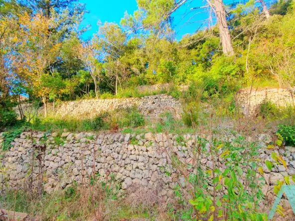 Terrain à bâtir 750 m² à Signes - Opportunité rare 