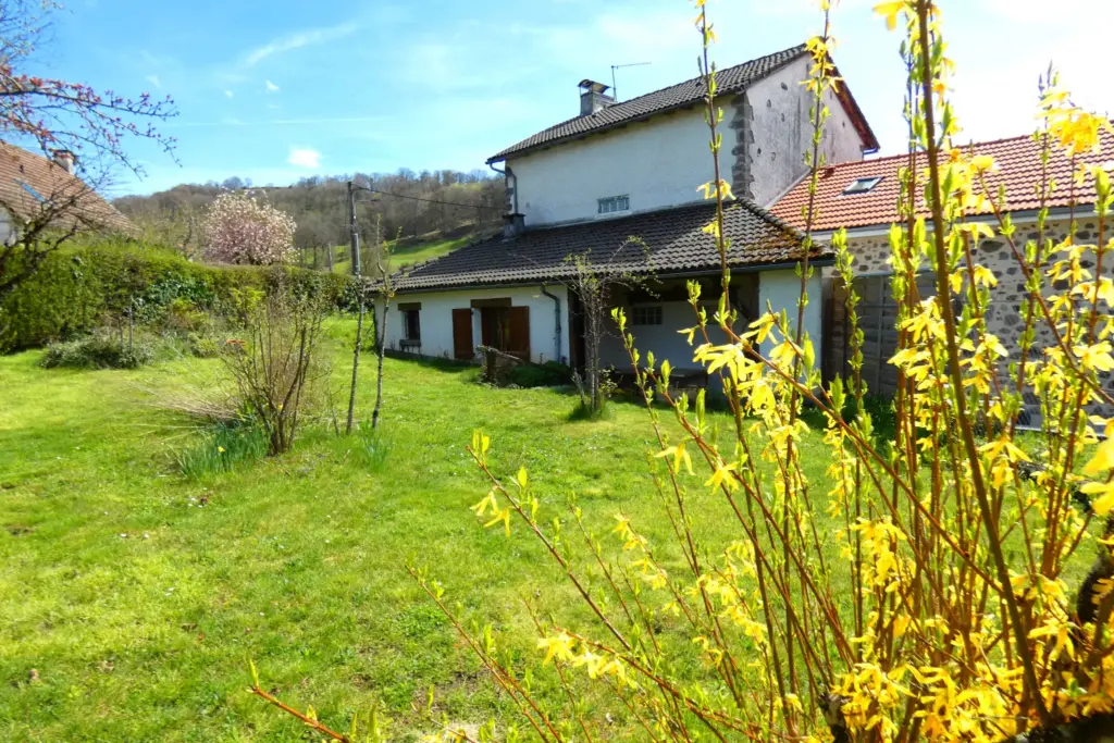 Maison auvergnate en pierre à Jussac, 4 chambres et jardin