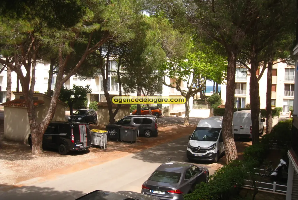 Appartement à 50 m de la plage à Argeles-Plage 