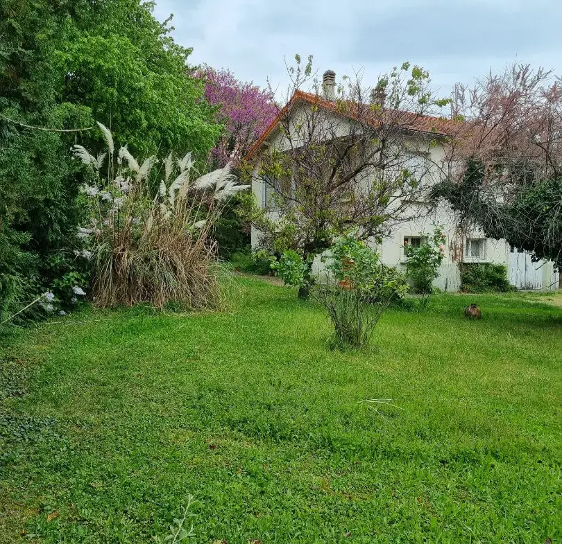 Maison à Restaurer à Veyre-Monton avec Terrain Arboré 