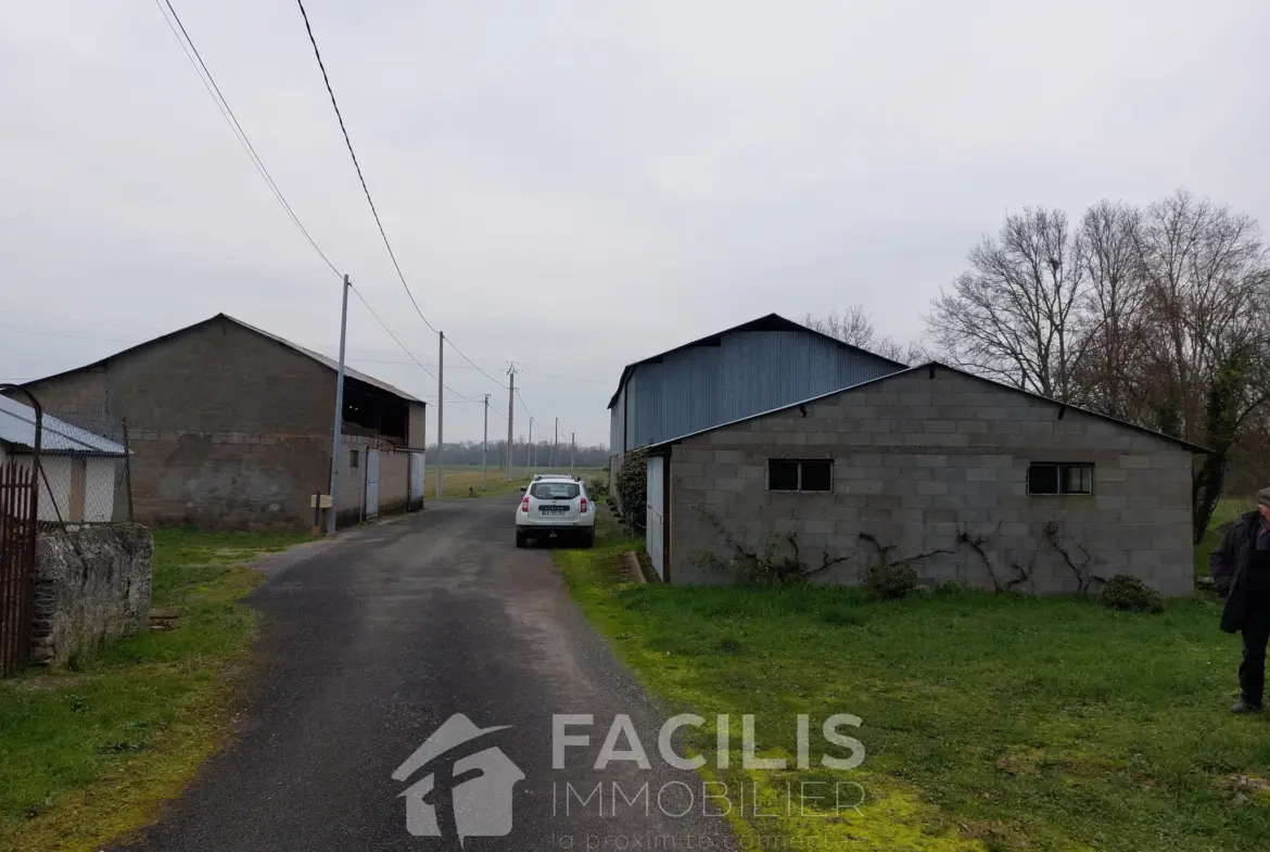 Maison à vendre sur les bords de Loire à St Georges sur Loire 