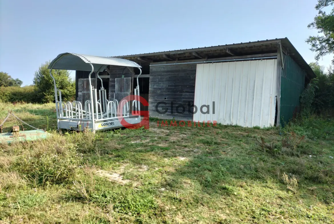 Maison à vendre à Aire sur l'Adour avec terrain spacieux et dépendances 
