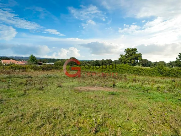 Maison à vendre à Aire sur l'Adour avec terrain spacieux et dépendances 