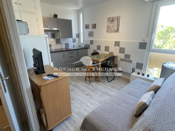 Appartement T2 rénové avec parking à Balaruc les Bains 