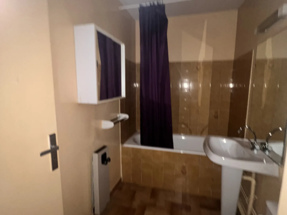 Vente studio avec place de parking souterrain à Amélie-les-Bains-Palalda 