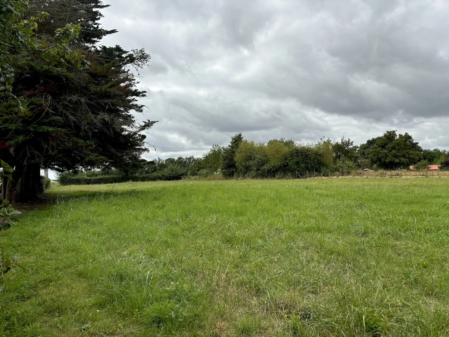 Maison spacieuse à vendre près de Chemillé à Chanzeaux 