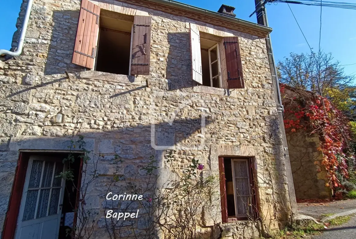 Maison à rénover avec granges et terrain à Coulaures 