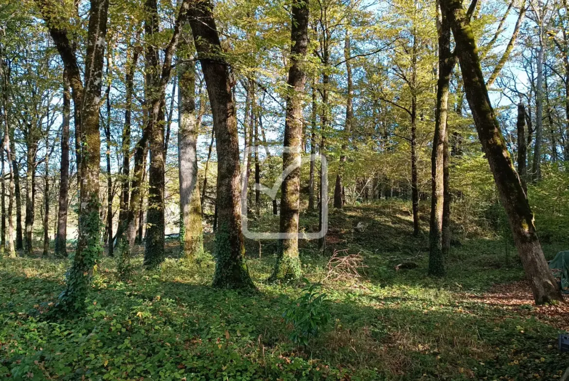 Maison à rénover avec granges et terrain à Coulaures 