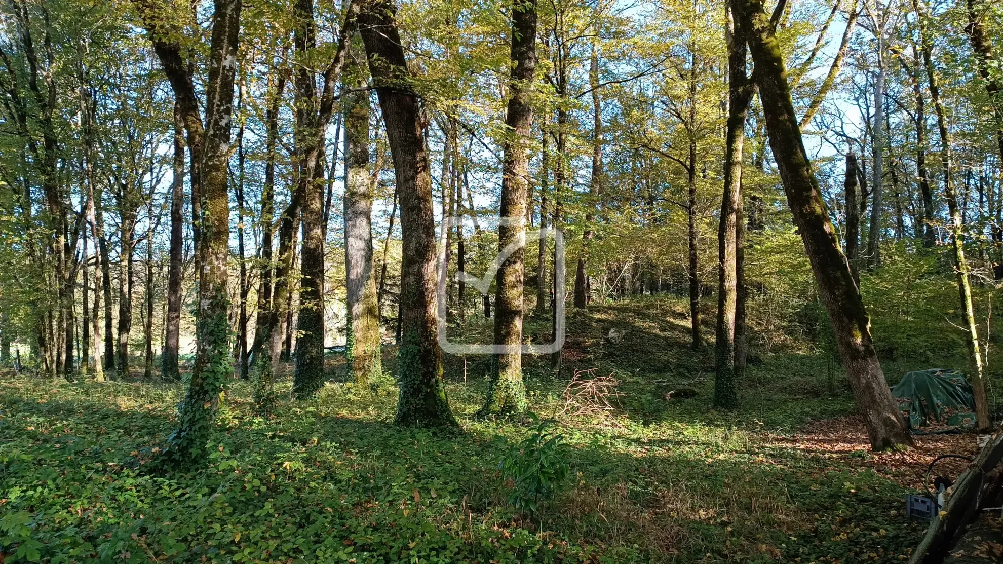 Maison à rénover avec granges et terrain à Coulaures 