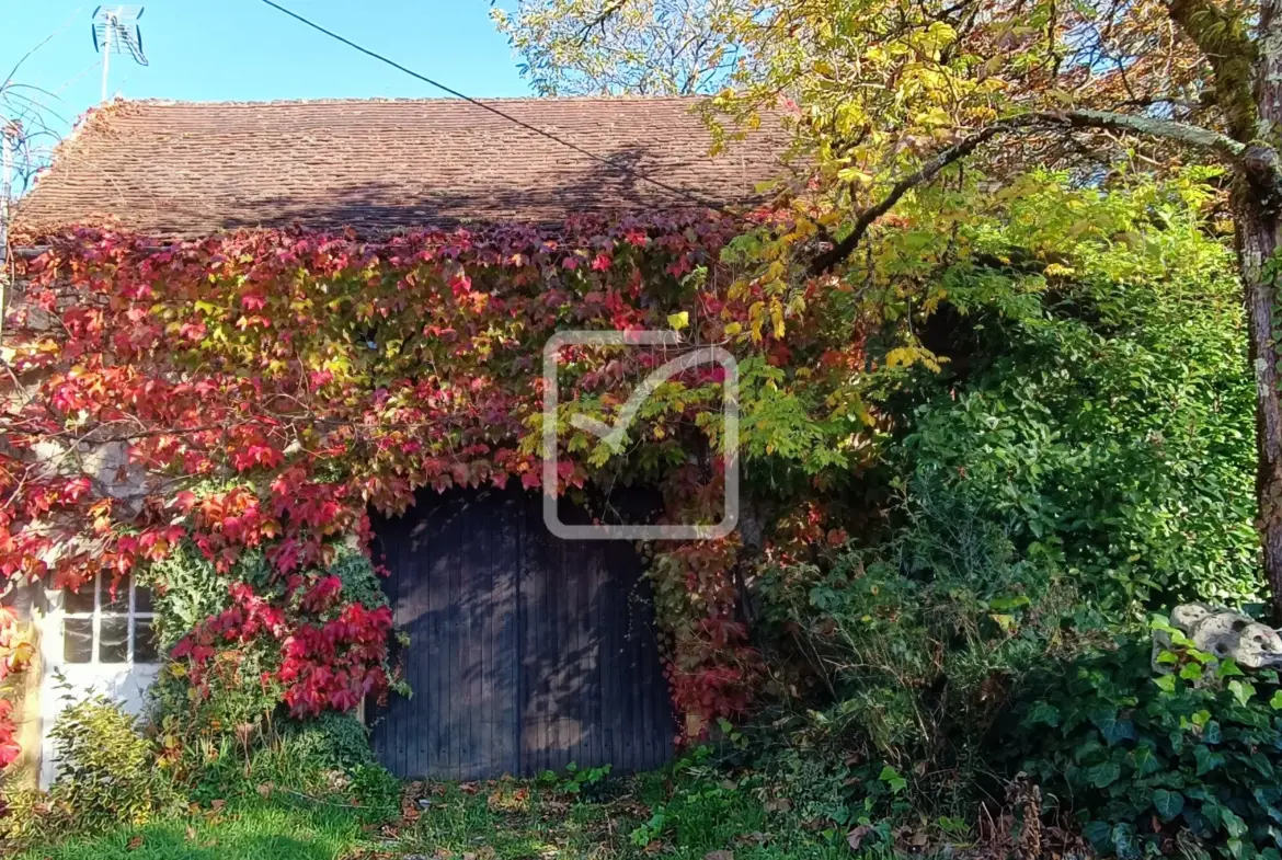 Maison à rénover avec granges et terrain à Coulaures 