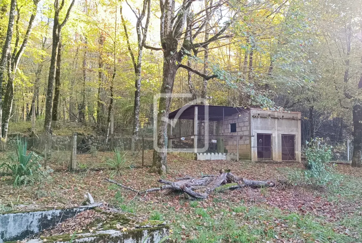 Maison à rénover avec granges et terrain à Coulaures 