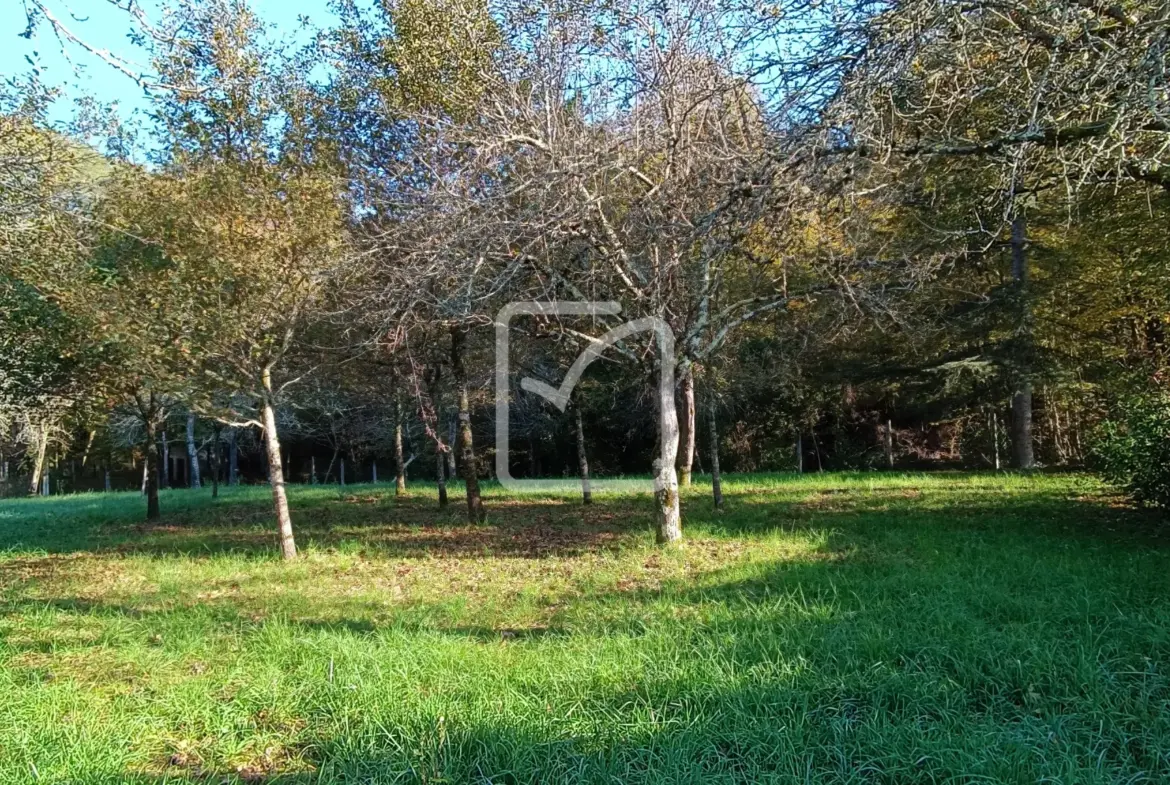 Maison à rénover avec granges et terrain à Coulaures 