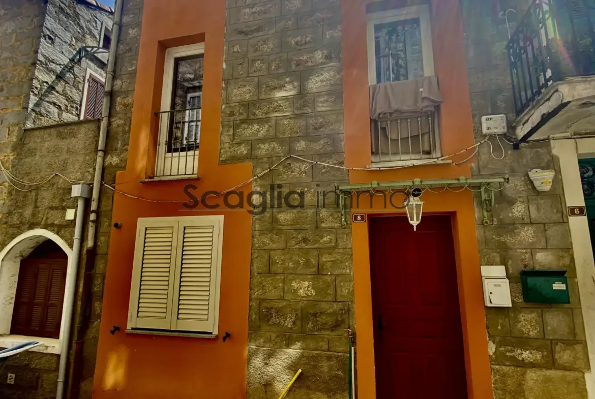 Maison de Village Type 3 Rénovée à Sainte Lucie de Tallano 