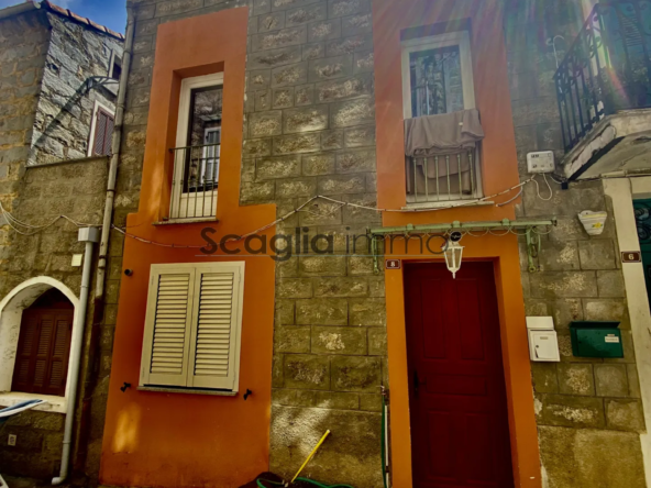 Maison de Village Type 3 Rénovée à Sainte Lucie de Tallano