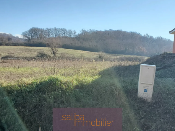 Terrain Viabilisé à Vendre proche Albi de 702 m² 