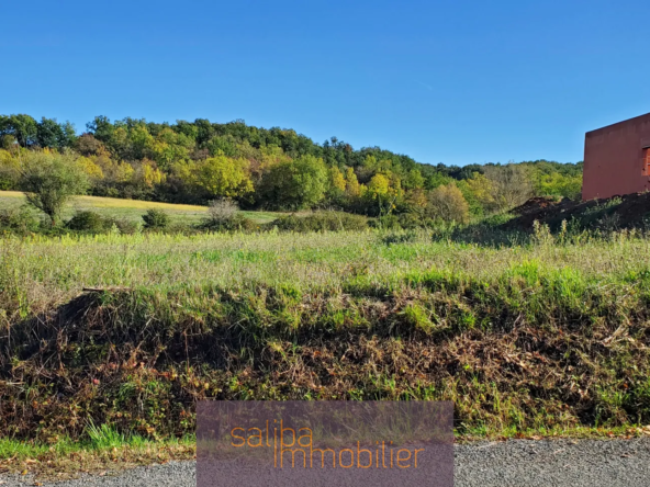 Terrain Viabilisé à Vendre proche Albi de 702 m² 