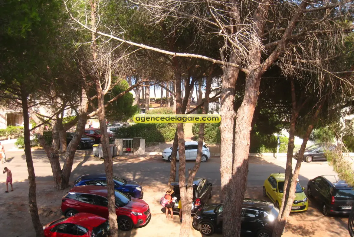 Appartement T2 à Argeles Plage près de la mer 