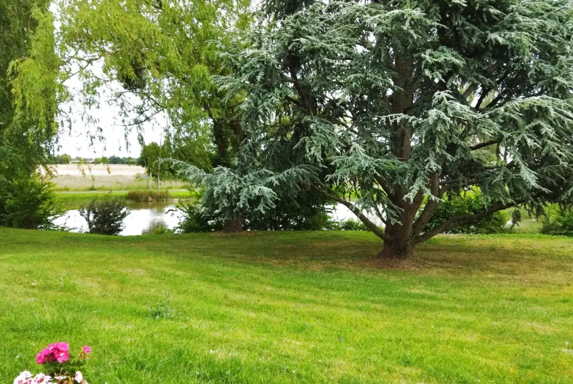 Maison de 1978 sur un terrain de 3 730 m² à Marchenoir 