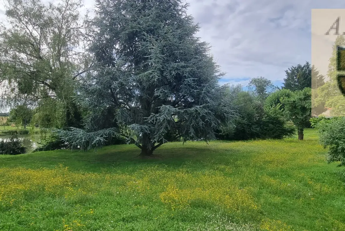 Maison de 1978 sur un terrain de 3 730 m² à Marchenoir 