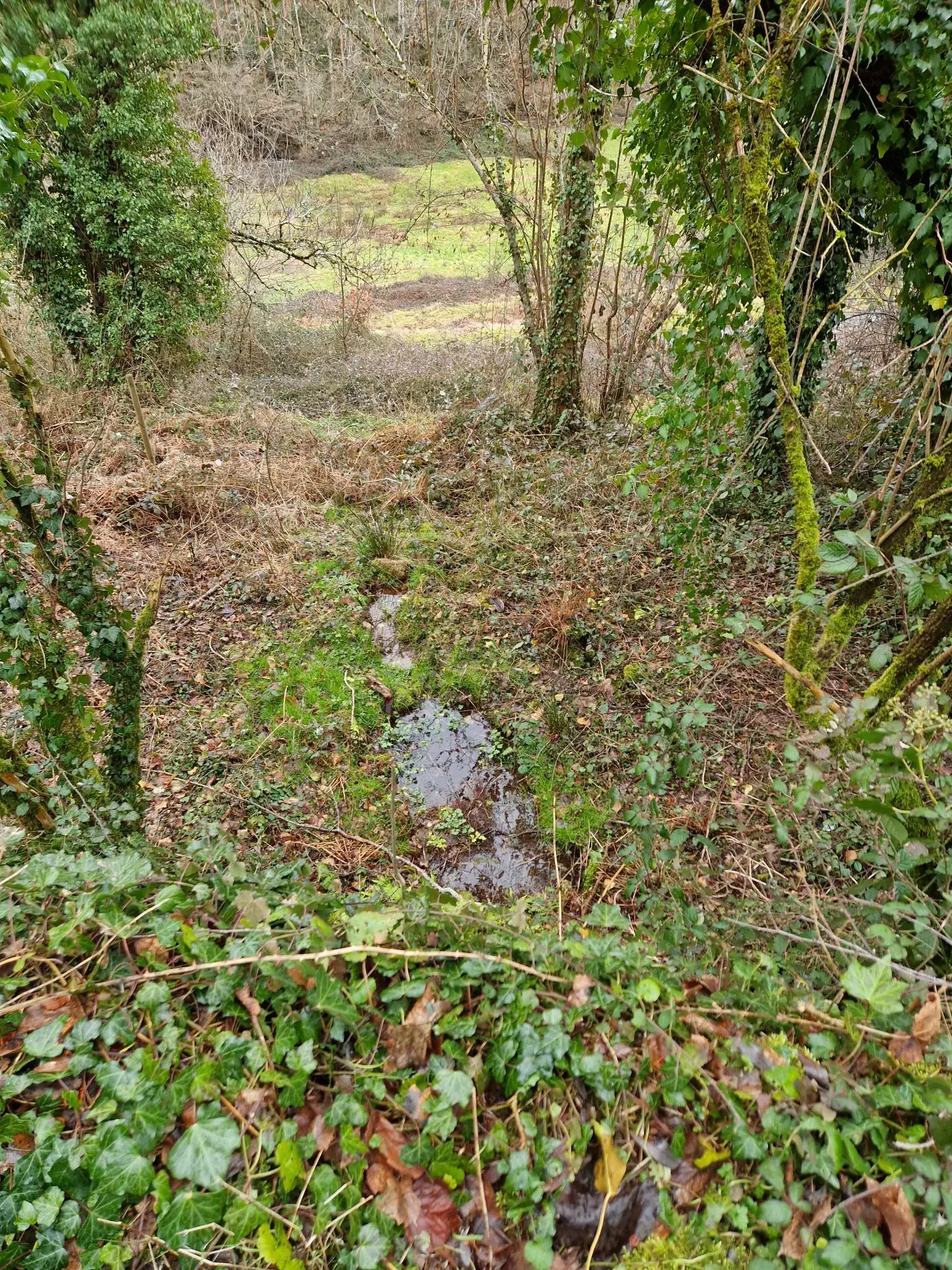 À vendre maison en pierres à Saint-Prix - 103 m² - 2 chambres 