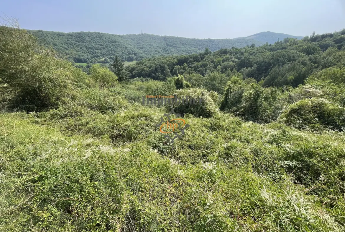 Vente maison en pierres à Broquiès avec terrasses et grand terrain 