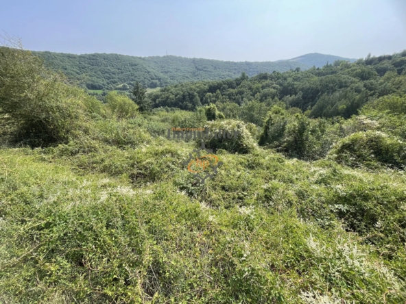 Vente maison en pierres à Broquiès avec terrasses et grand terrain 