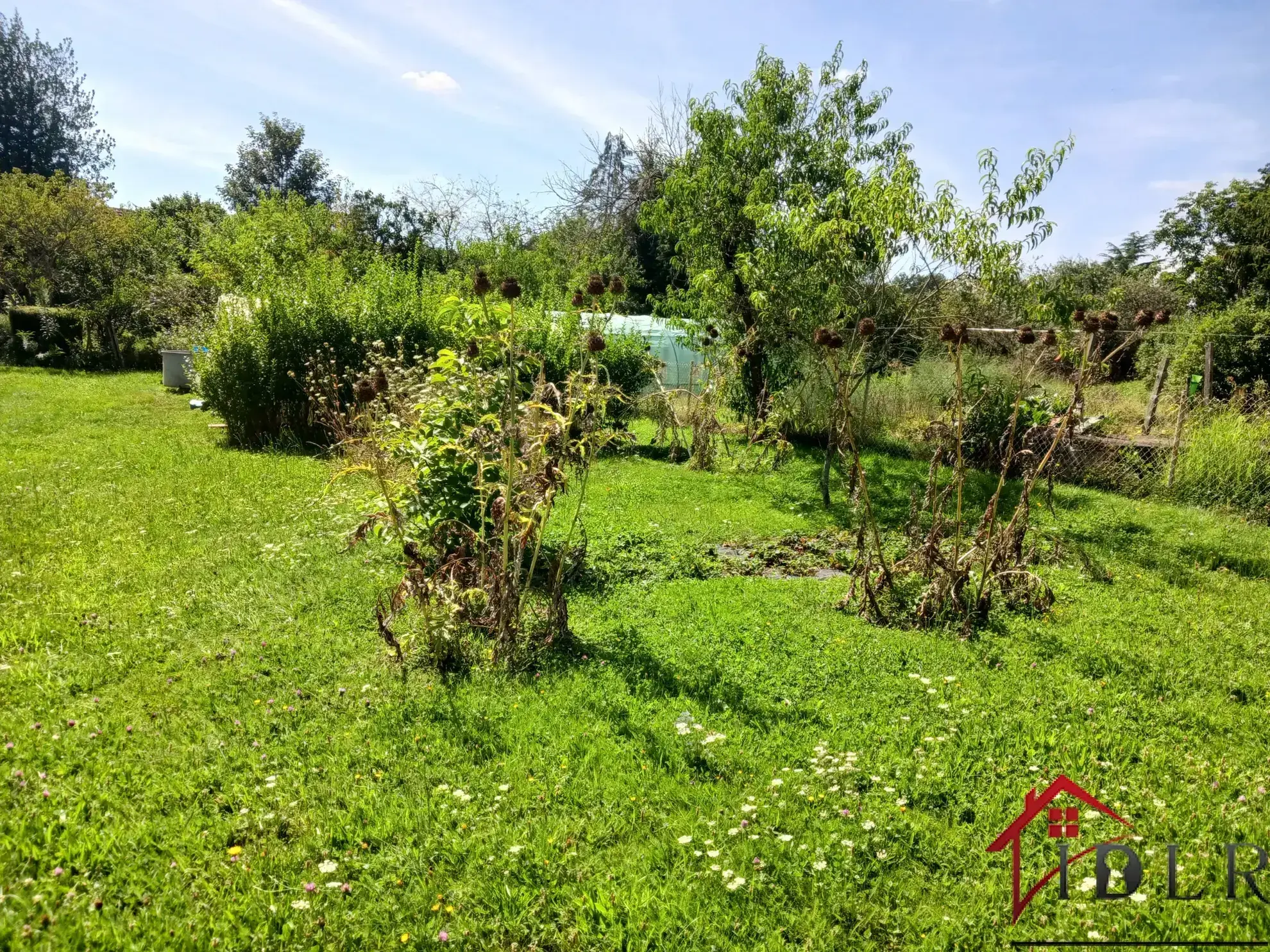 Maison à rénover de 72m2 à Bussières-les-Belmont 