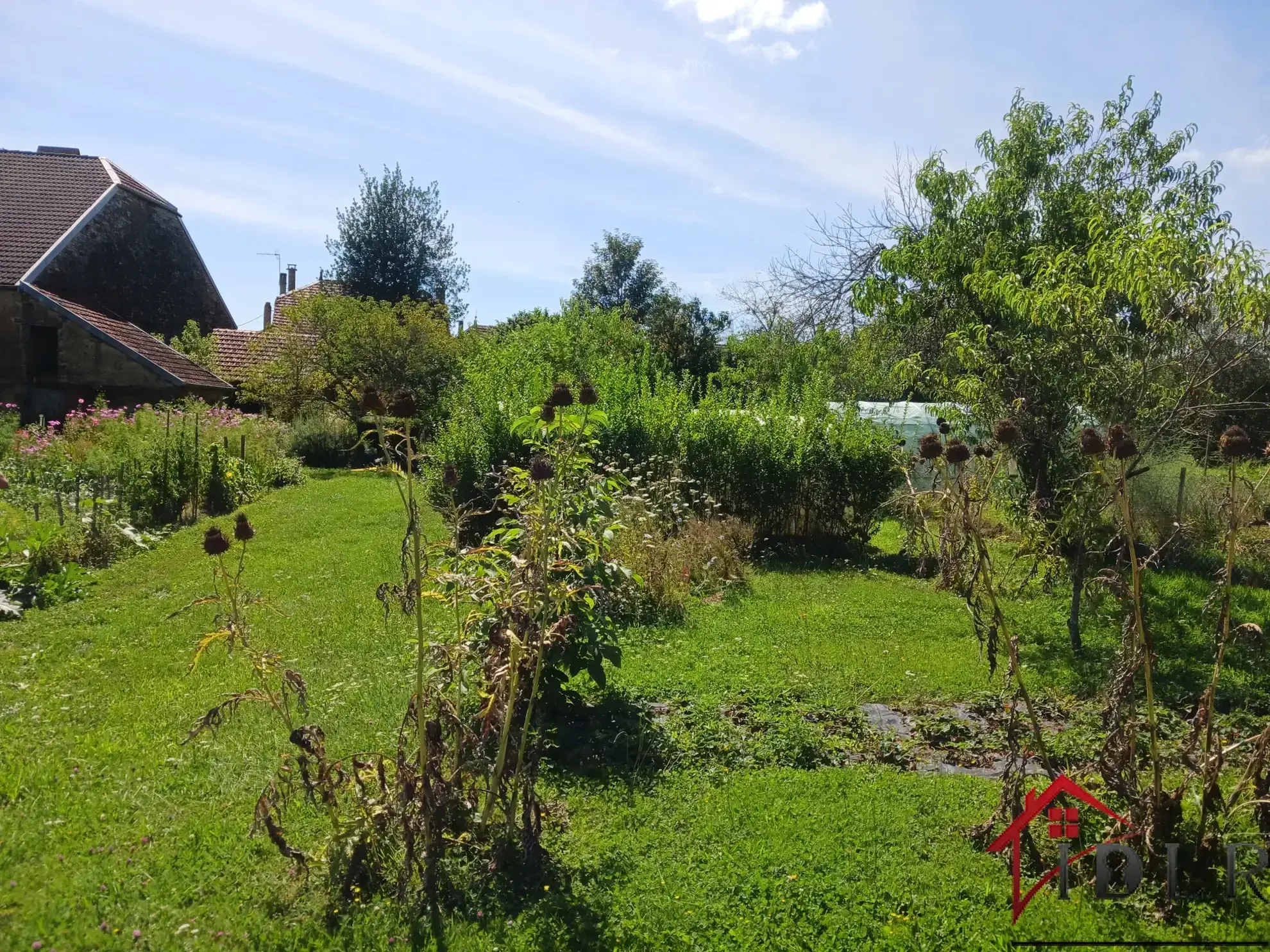 Maison à rénover de 72m2 à Bussières-les-Belmont 