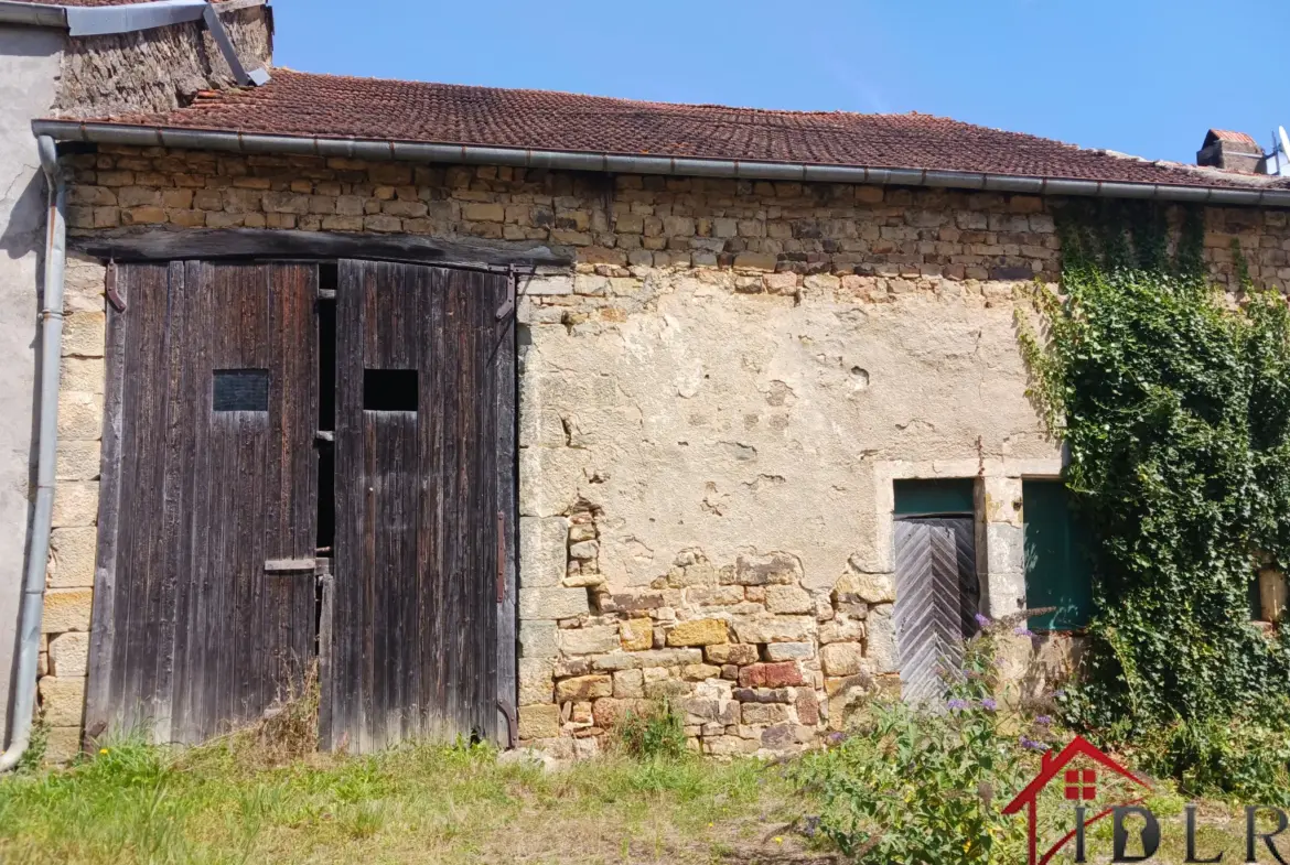 Maison à rénover de 72m2 à Bussières-les-Belmont 