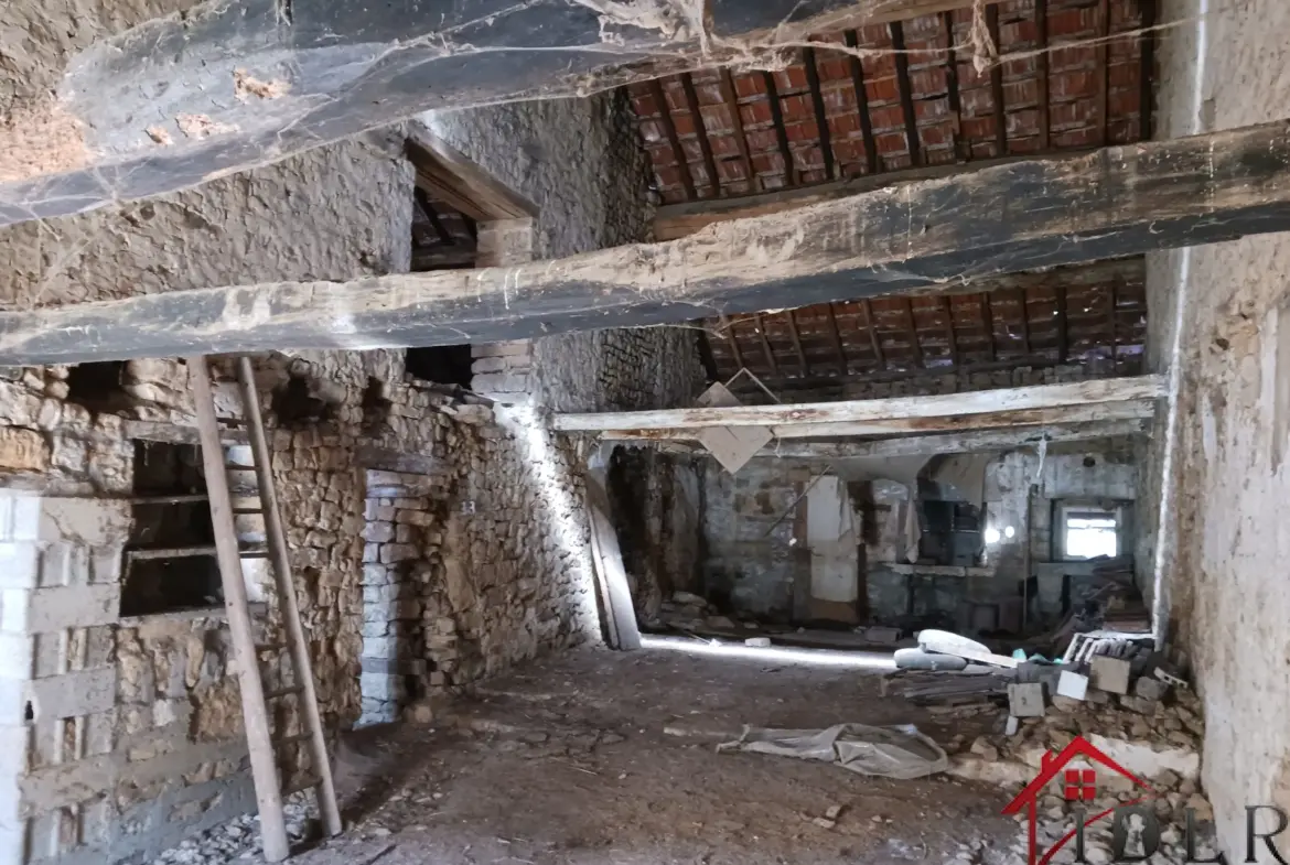 Maison à rénover de 72m2 à Bussières-les-Belmont 