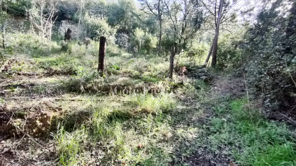 Terrain constructible de 554 m² à La Gazelle, Nîmes