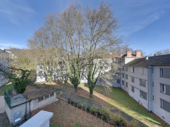 T3 avec travaux à vendre à Grenoble - Vue dégagée 