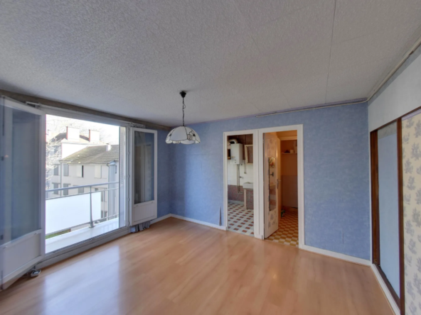 T3 avec travaux à vendre à Grenoble - Vue dégagée 