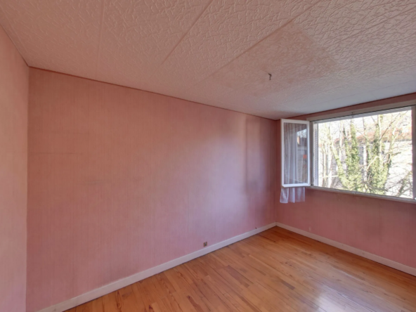T3 avec travaux à vendre à Grenoble - Vue dégagée 